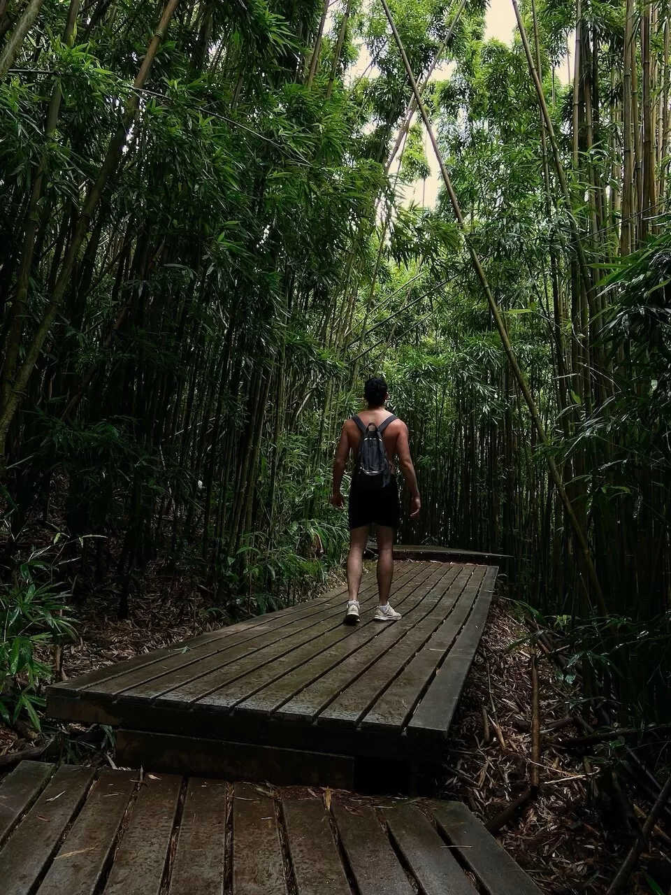 Pipiwai Trail, Bamboo Forest