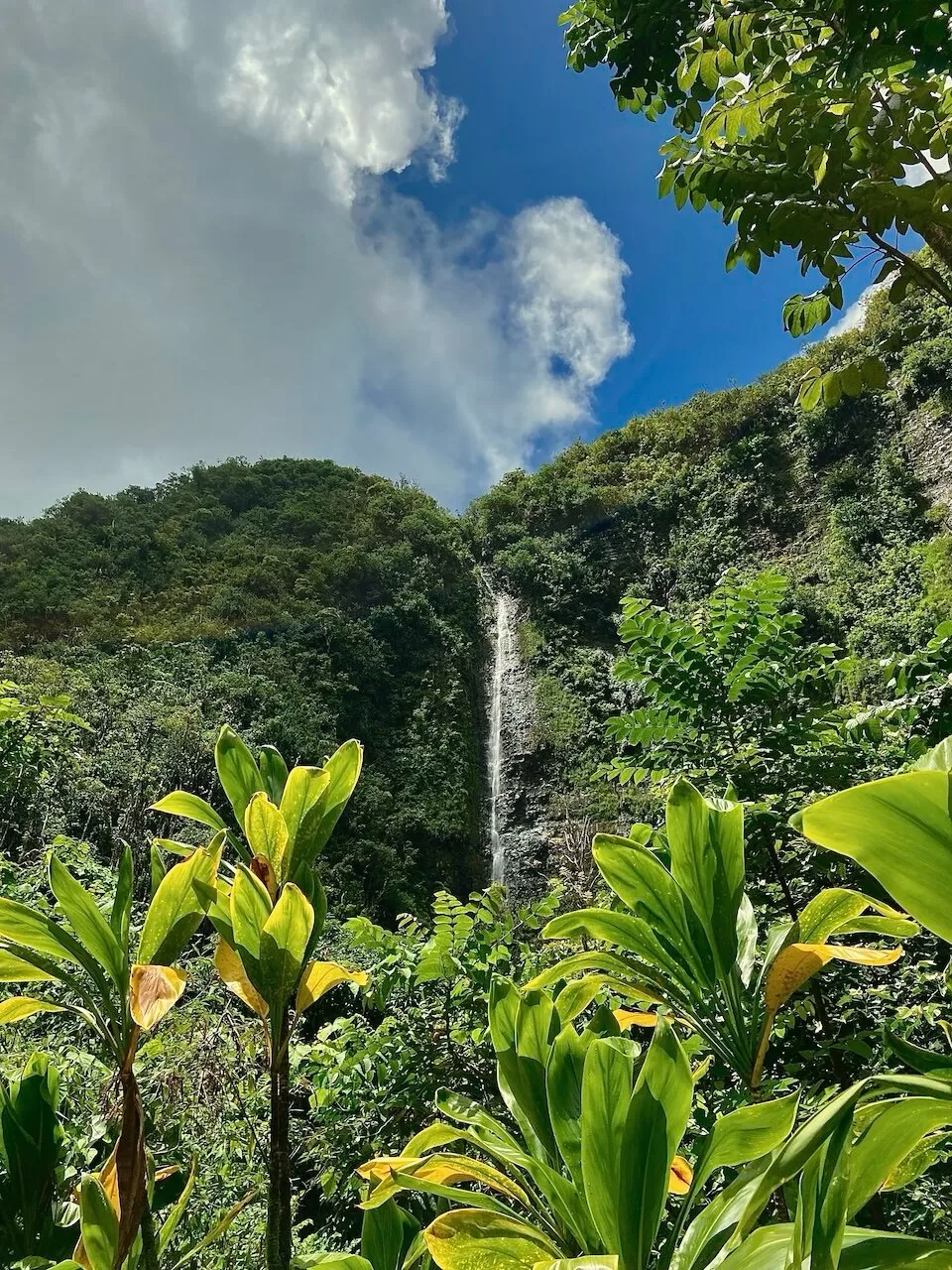 Pipiwai Trail, Waimoku Falls