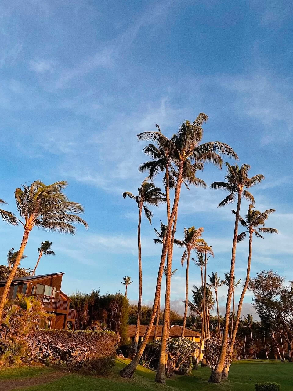Kapalua Coastal Trail