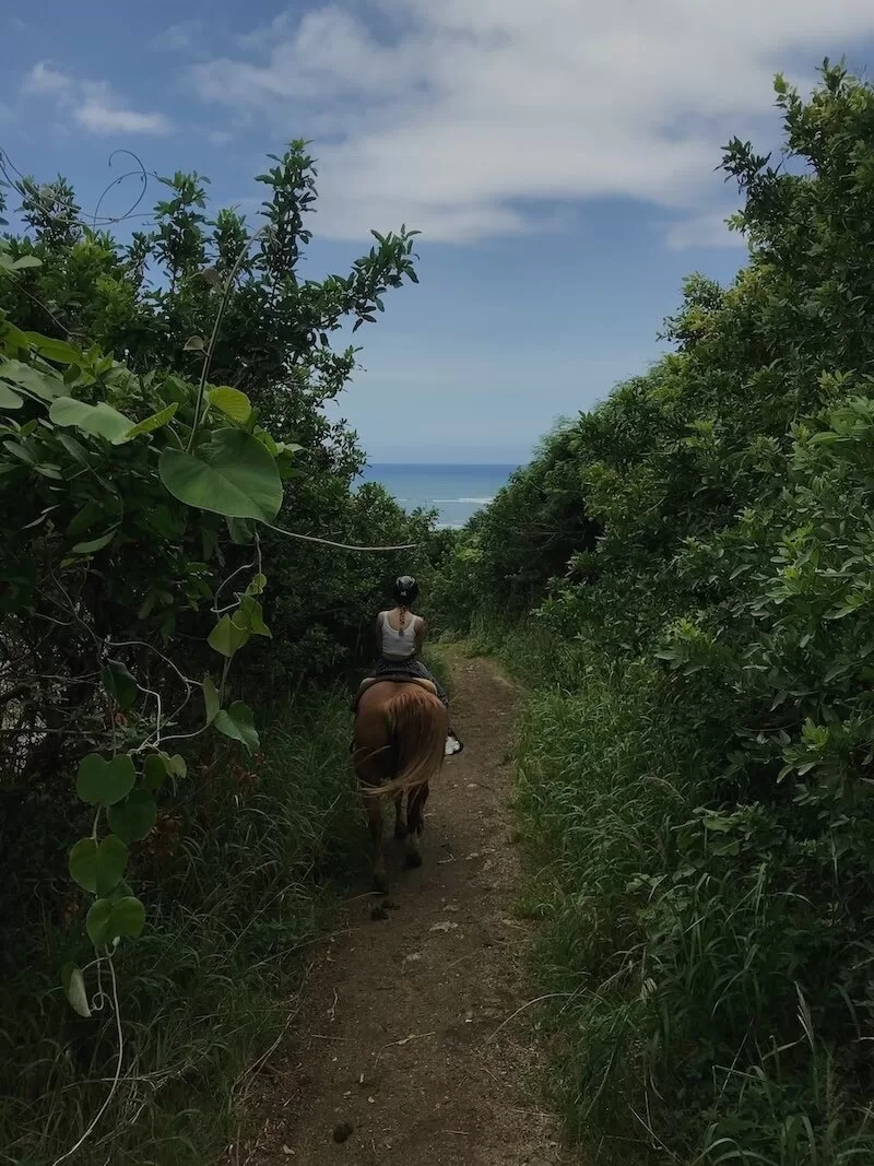 Best things to do in Oahu, Kualoa Ranch, Jurassic Valley, Horseback Riding