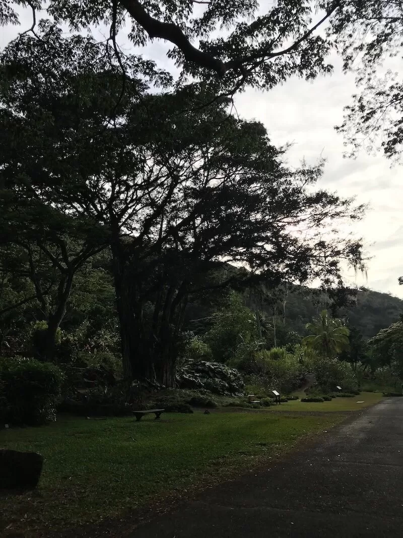 How to Spend a Day on the North Shore, Oahu best hikes, Waimea Valley