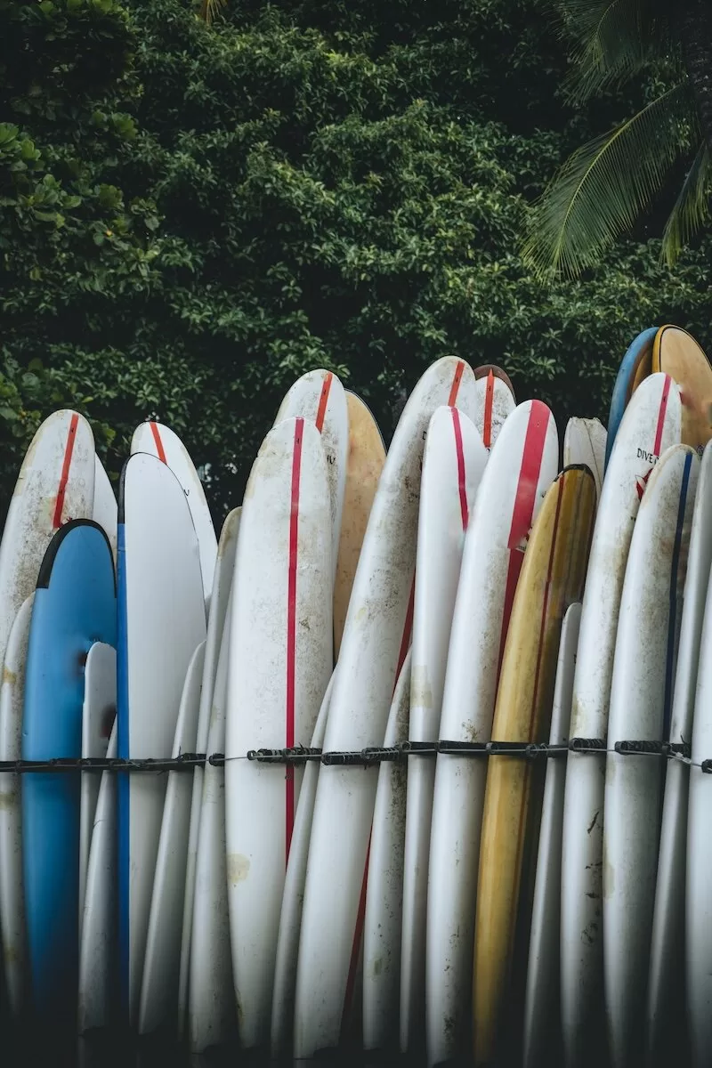 How to spend a day on the North Shore Oahu Hawaii, surfboards