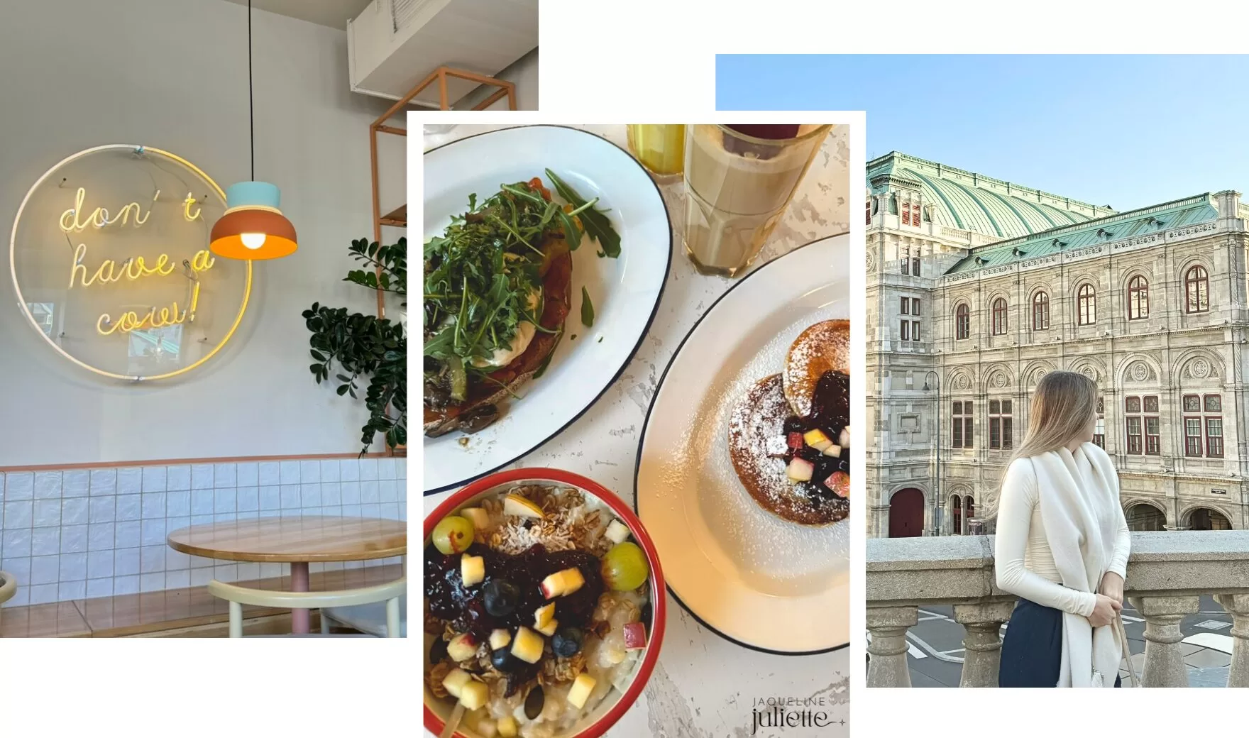 vegan food in Vienna, full vegan guide Vienna, best vegan restaurants
