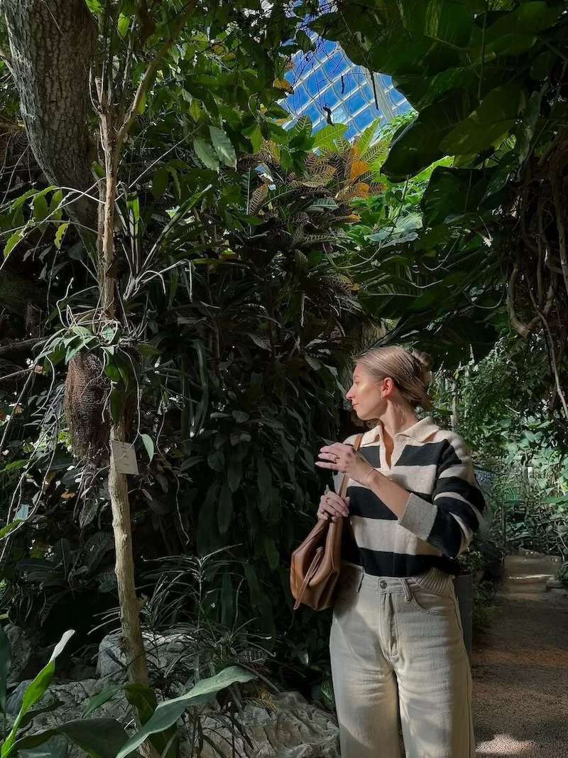 Schmetterlinghaus / Imperial Butterfly House Vienna