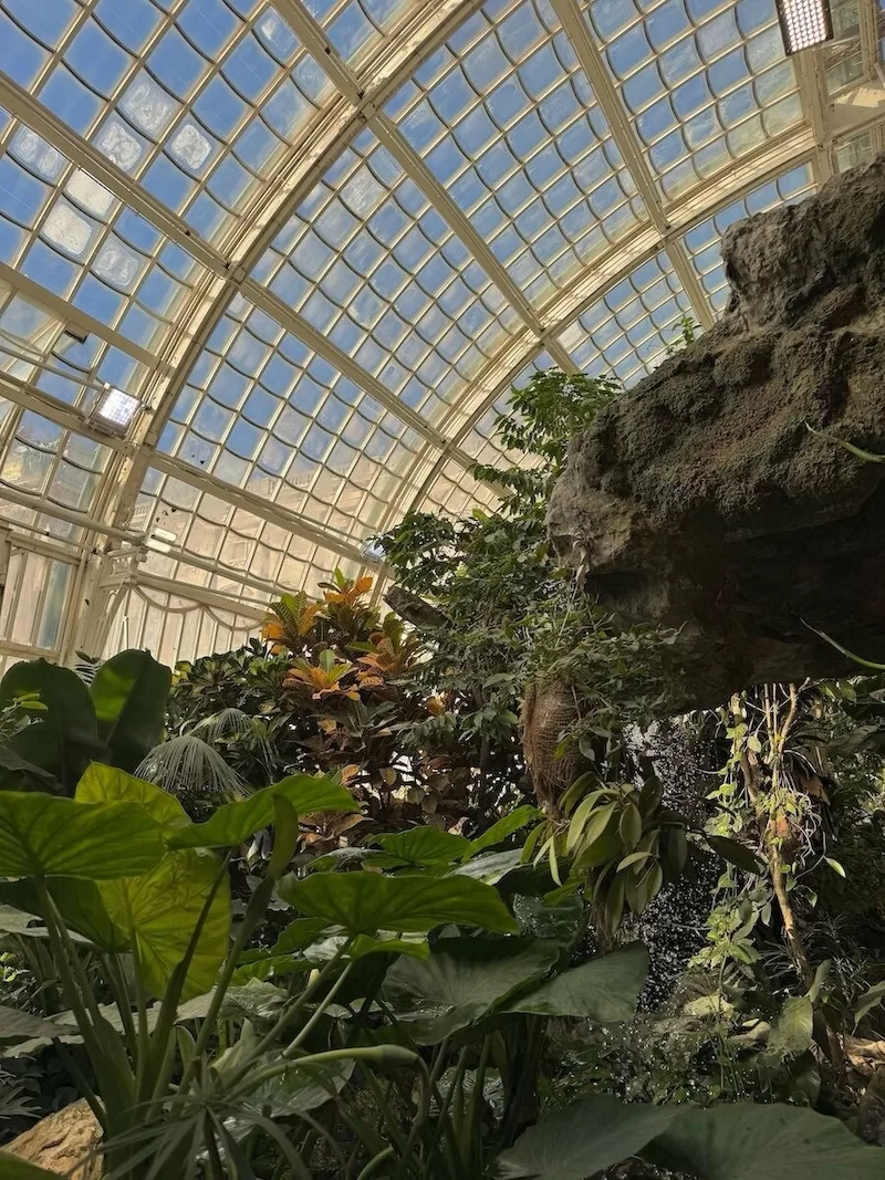 Most instagrammable spots in Vienna, Schmetterlinghaus