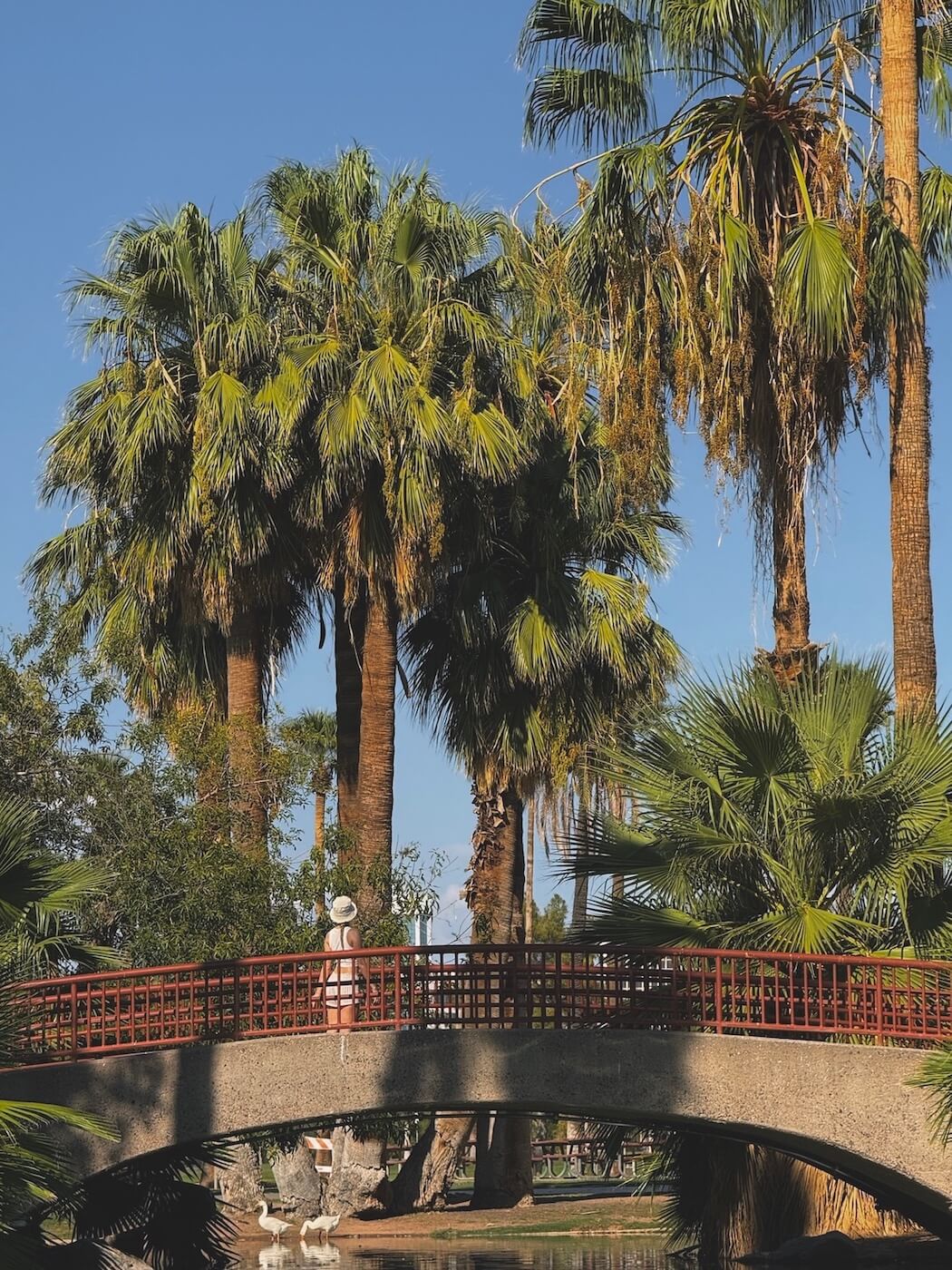 Best Instagram Spots in Phoenix